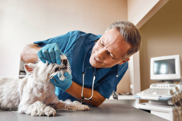 Best Emergency Treatment for Jaw Pain or Injury in Cornelius, NC