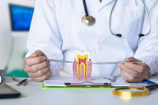 Best Dental Abscess Treatment in Cornelius, NC